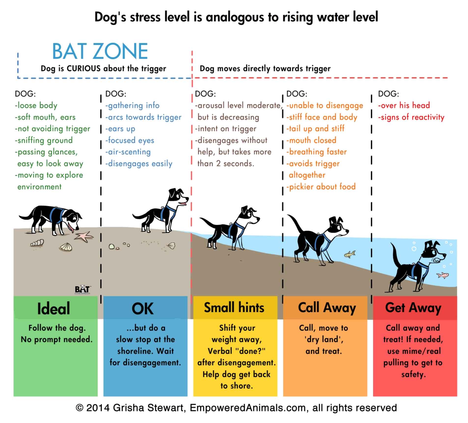 BAT Training Paws In The Pink