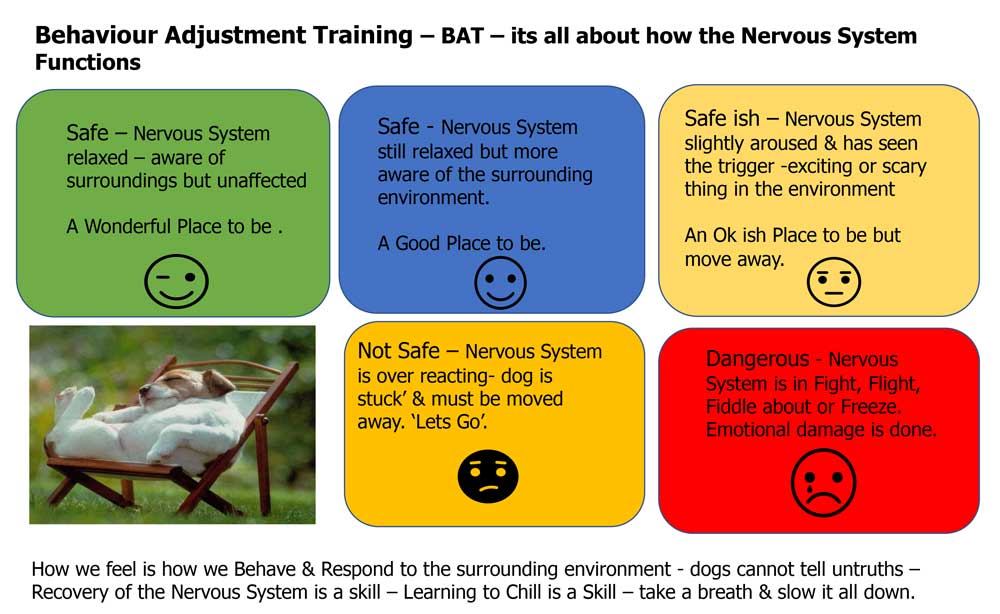 BAT Training explained