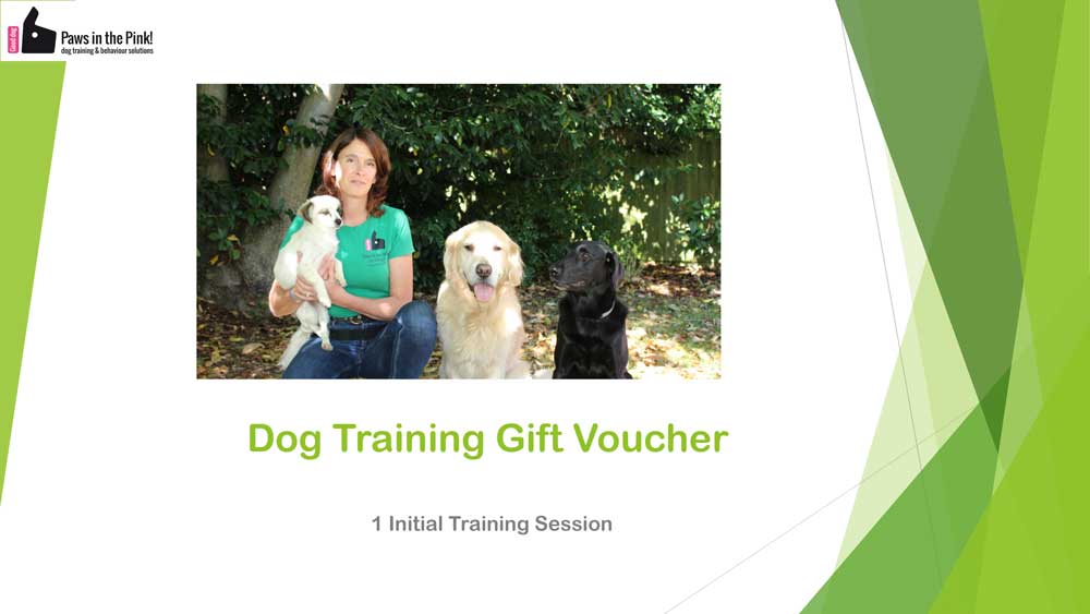 Dog-Training-Gift-Voucher a training voucher for paws in the pink
