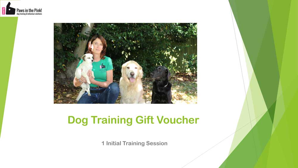 a training voucher for paws in the pink