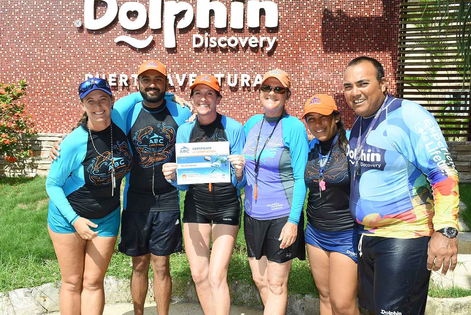 dolphin discovery dolphin discovery